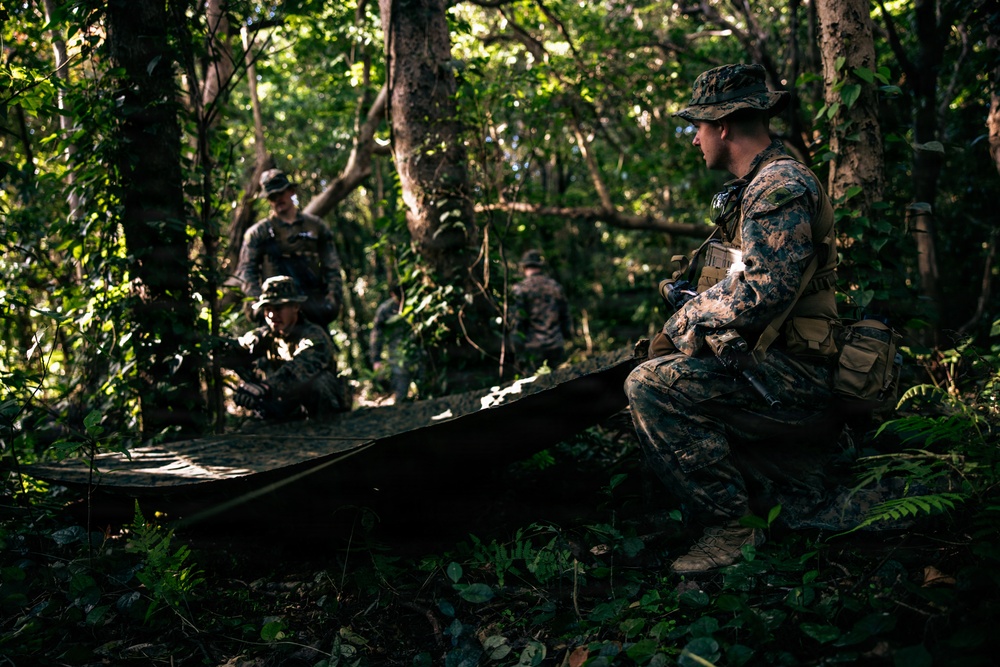7th Communication Battalion Marines conduct jungle training