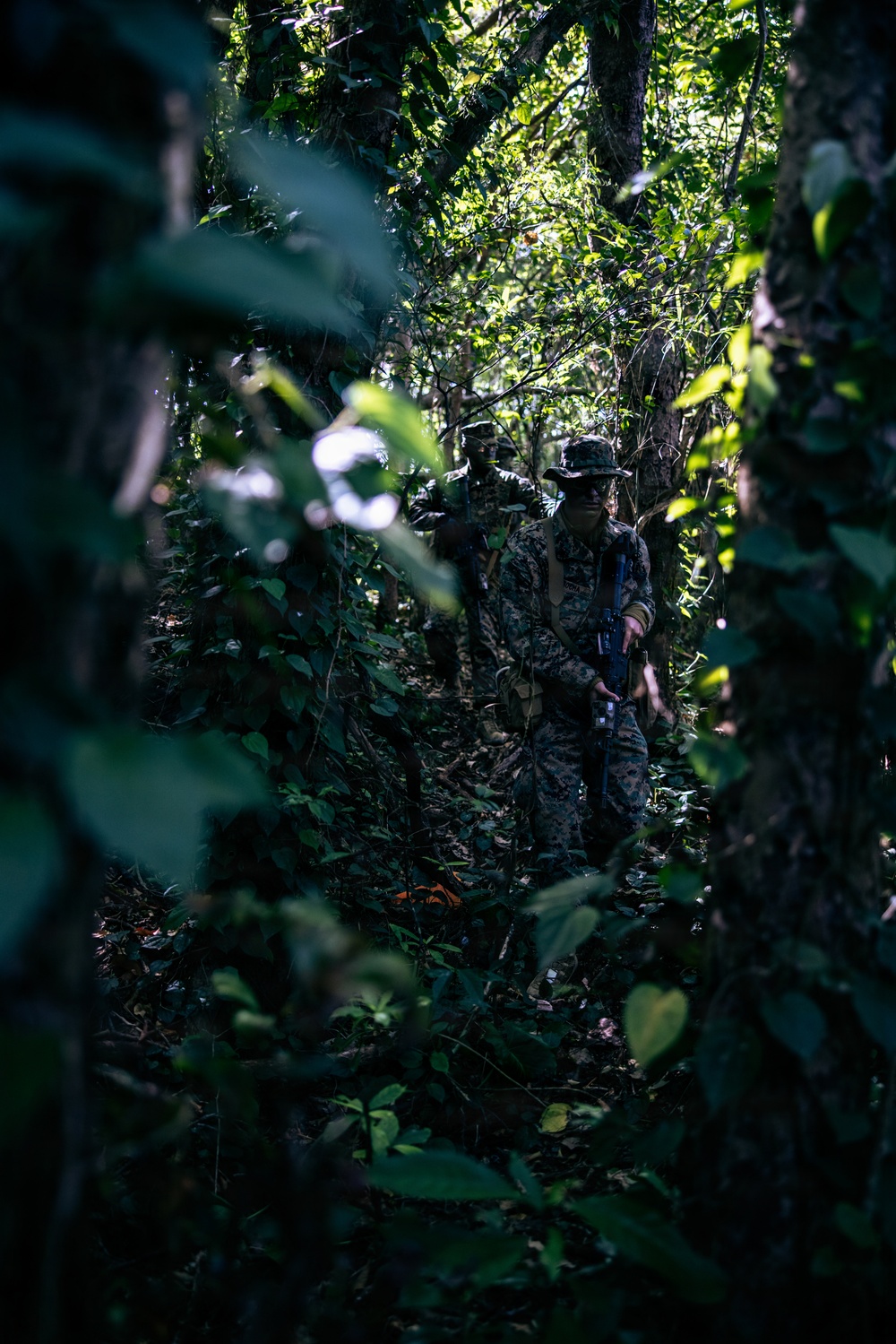 7th Communication Battalion Marines conduct jungle training
