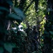 7th Communication Battalion Marines conduct jungle training