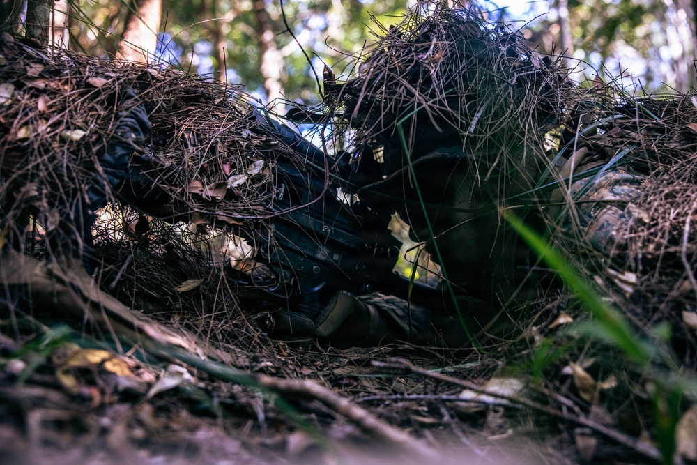 7th Communication Battalion Marines sustain expeditionary communications in jungle environment