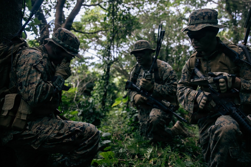7th Communication Battalion Marines sustain expeditionary communications in jungle environment