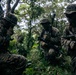 7th Communication Battalion Marines sustain expeditionary communications in jungle environment