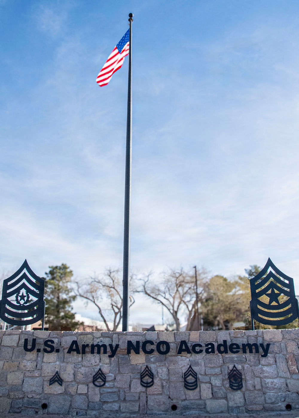 NCOLCOE Flagpole Renamed USANCOA