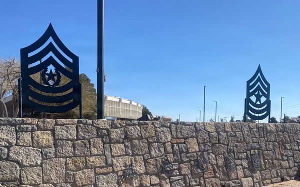 NCO Leadership Center of Excellence Receives a New Title: U.S. Army NCO Academy