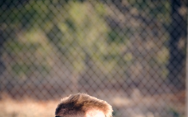 U.S. Army Best Drone Competition 2026