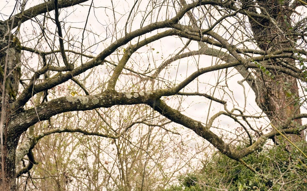 U.S. Army Best Drone Competition 2026