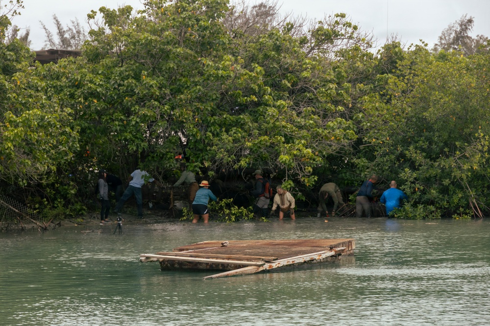 MCBH Mangrove Removal