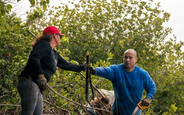 MCBH Mangrove Removal