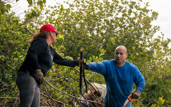 MCBH Mangrove Removal