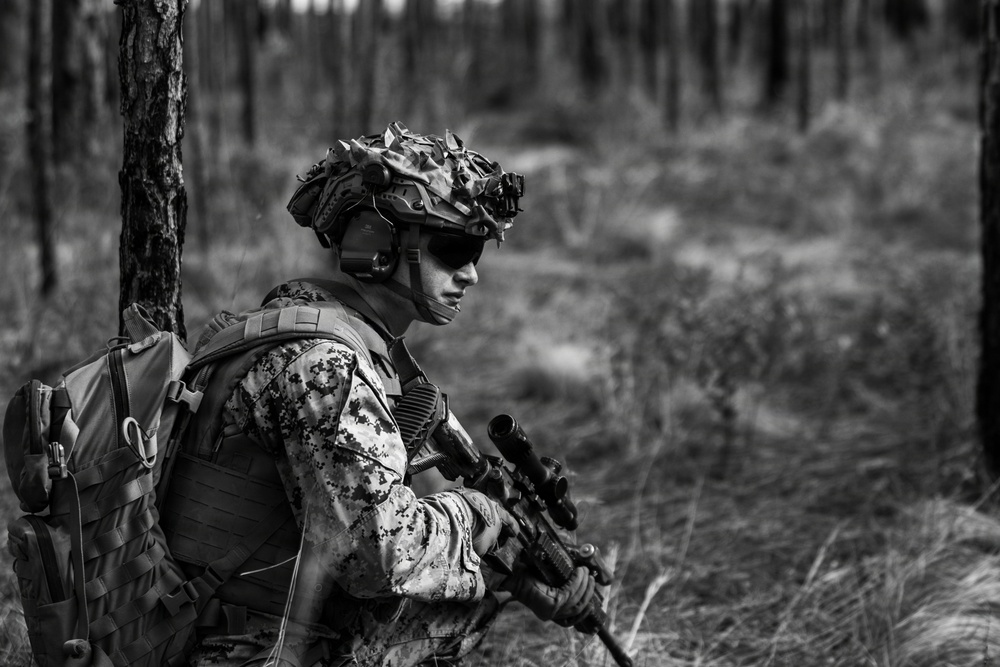 1st Battalion, 2nd Marine Regiment Conducts Live Fire Drone Attacks