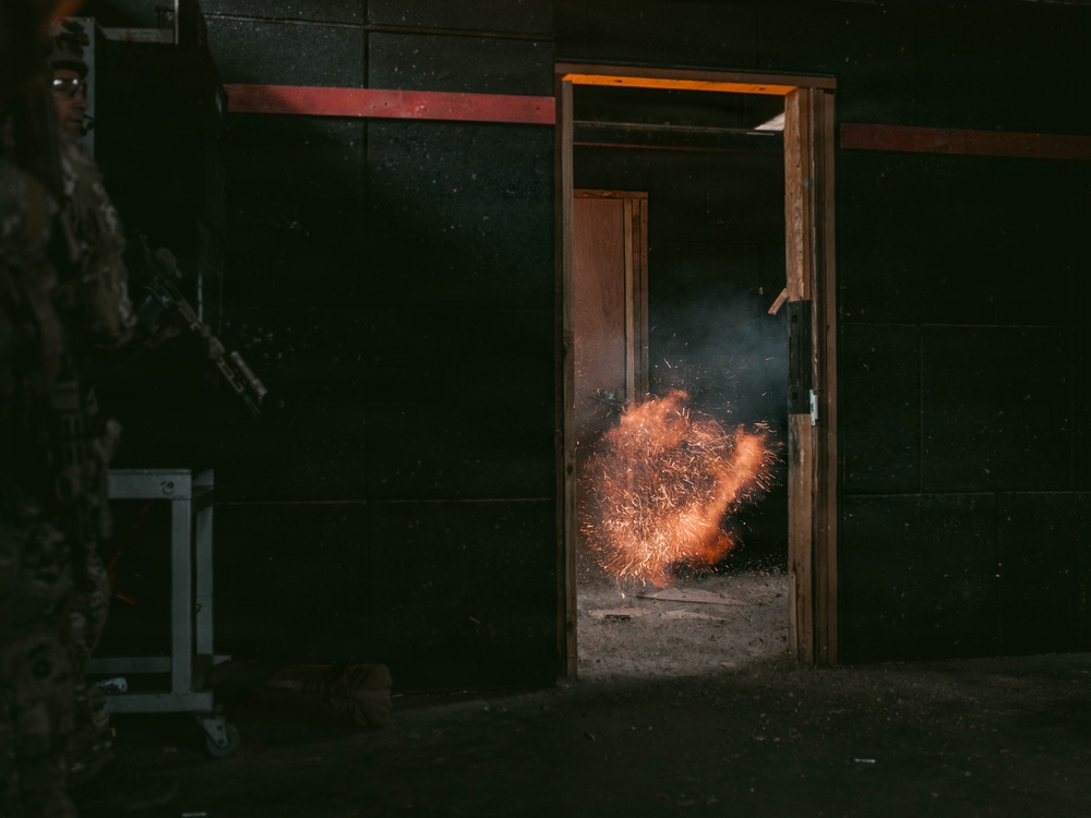 3rd SFG (A) Green Berets conduct SFAUC training with Irish ARW partner forces