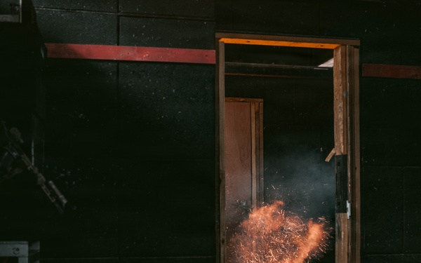 3rd SFG (A) Green Berets conduct SFAUC training with Irish ARW partner forces