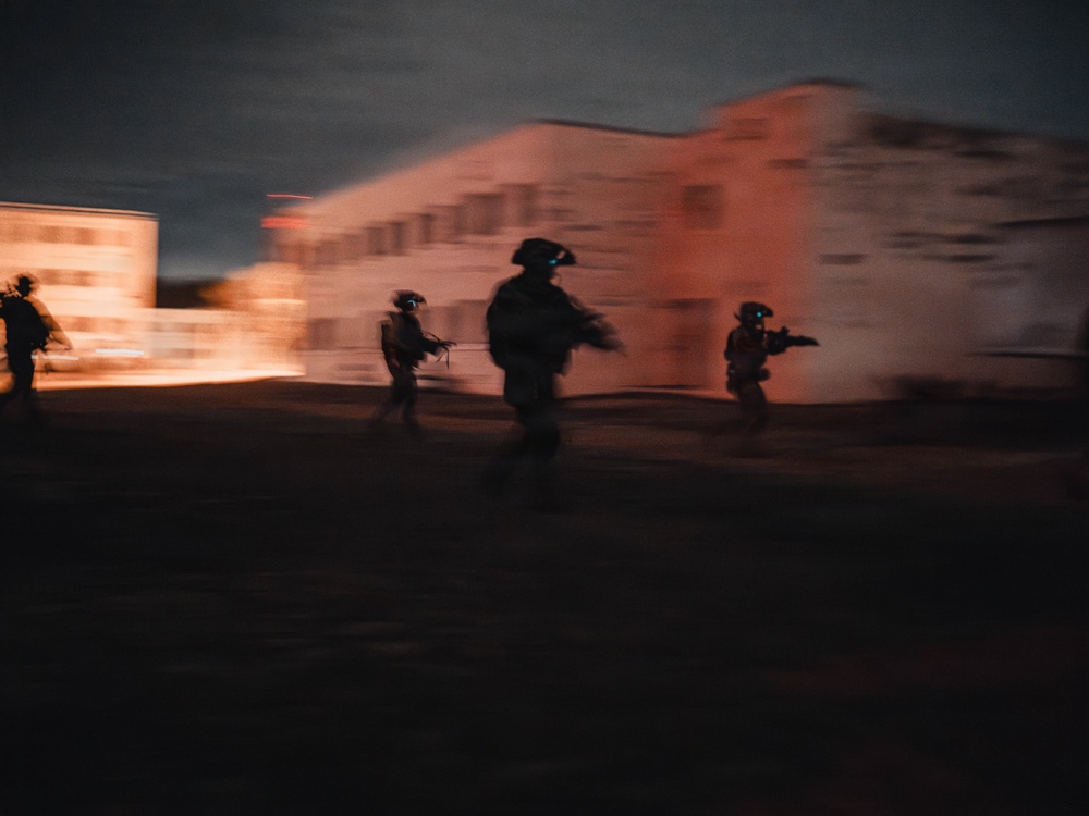 3rd SFG (A) Green Berets conduct SFAUC training with Irish ARW partner forces
