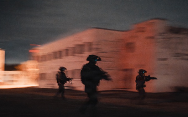 3rd SFG (A) Green Berets conduct SFAUC training with Irish ARW partner forces