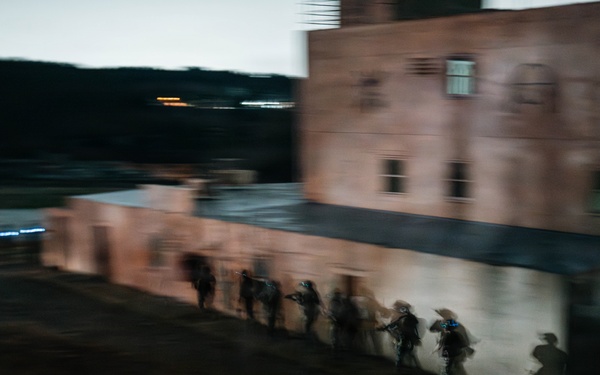 3rd SFG (A) Green Berets conduct SFAUC training with Irish ARW partner forces