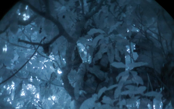 24th MEU CERTEX: U.S Marines with Kilo Conduct a TRAP mission