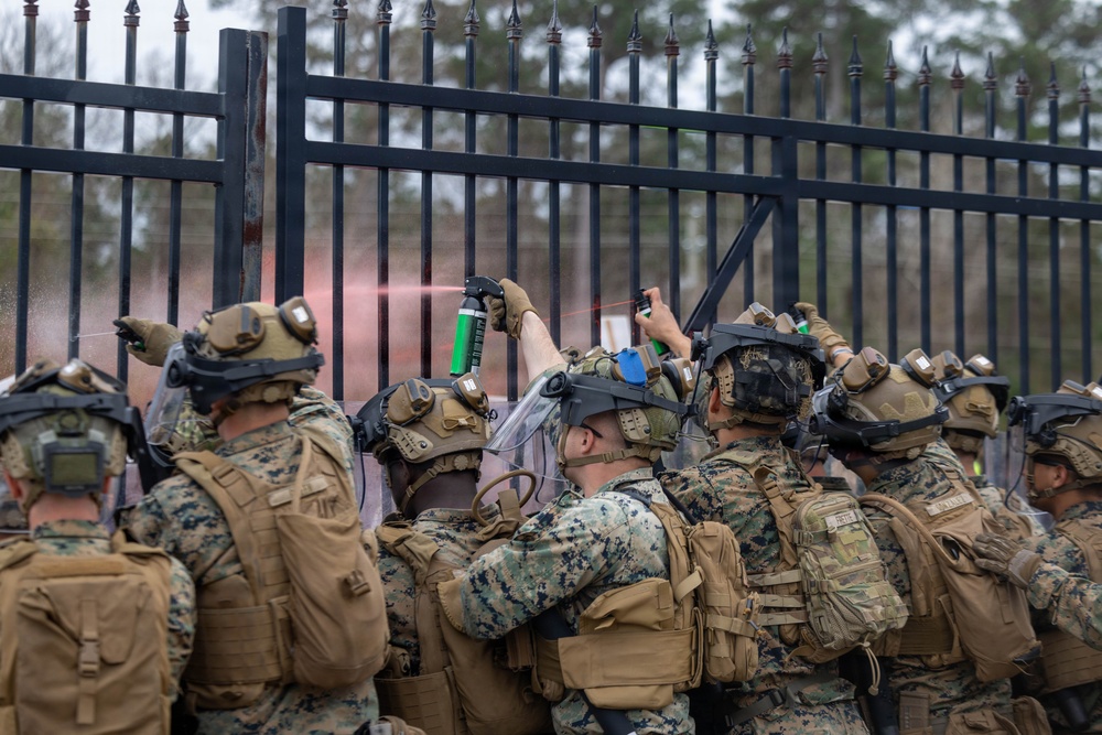 24th MEU CERTEX: Embassy Reinforcement