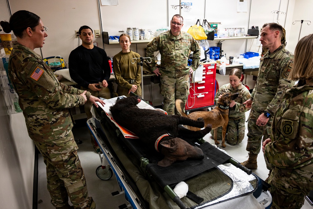 Critical Care for All: Cross-Training in Canine Medicine During AE26