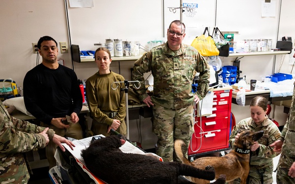 Critical Care for All: Cross-Training in Canine Medicine During AE26