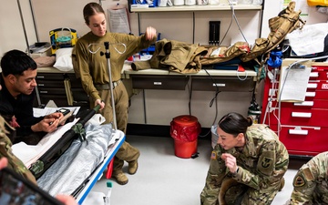 Critical Care for All: Cross-Training in Canine Medicine During AE26