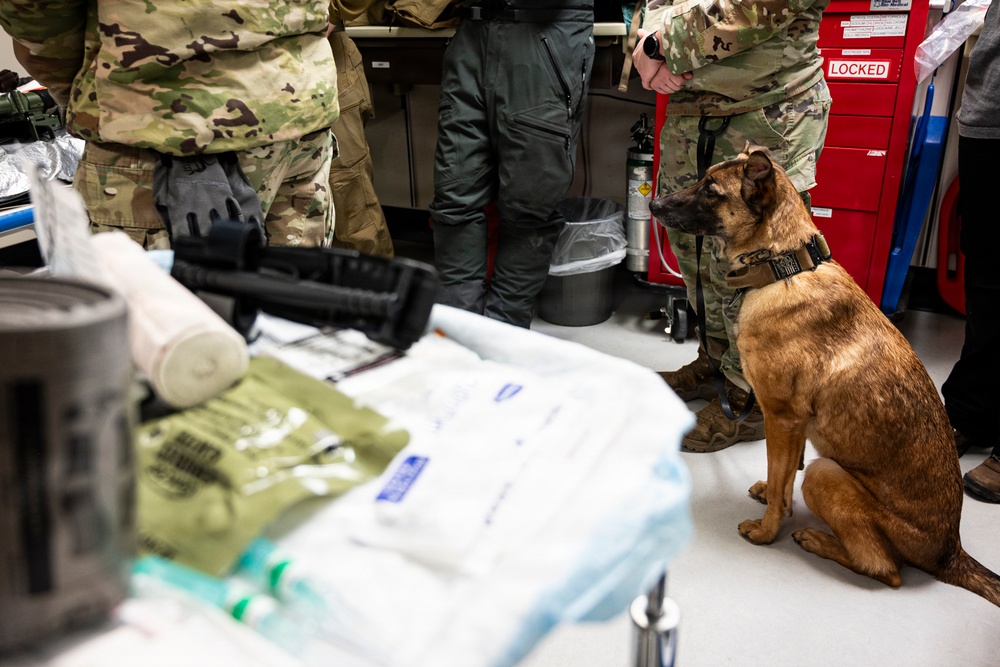 Joint Force medical experimentation team cross trains for K-9 care at USCG Air Station Kodiak during ARCTIC EDGE 2026