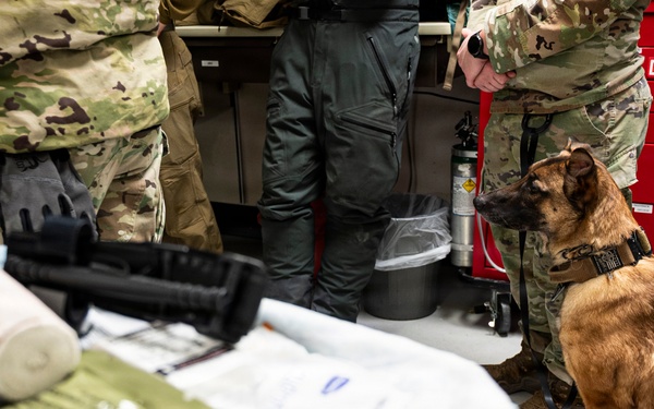 Joint Force medical experimentation team cross trains for K-9 care at USCG Air Station Kodiak during ARCTIC EDGE 2026