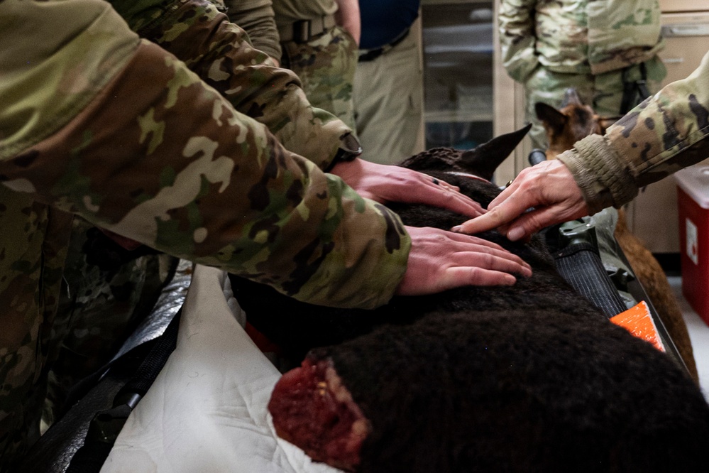 Joint Force medical experimentation team cross-trains for K-9 care at USCG Air Station Kodiak during ARCTIC EDGE 2026