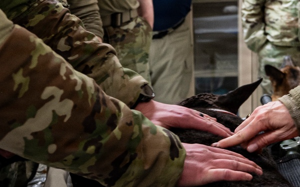 Joint Force medical experimentation team cross-trains for K-9 care at USCG Air Station Kodiak during ARCTIC EDGE 2026