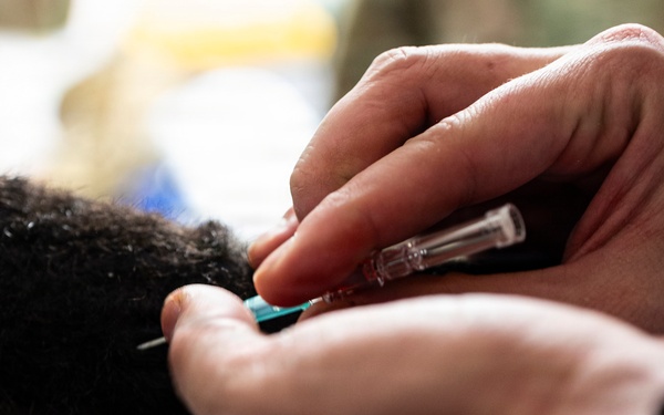 Joint Force medical experimentation team cross-trains for K-9 care at USCG Air Station Kodiak during ARCTIC EDGE 2026