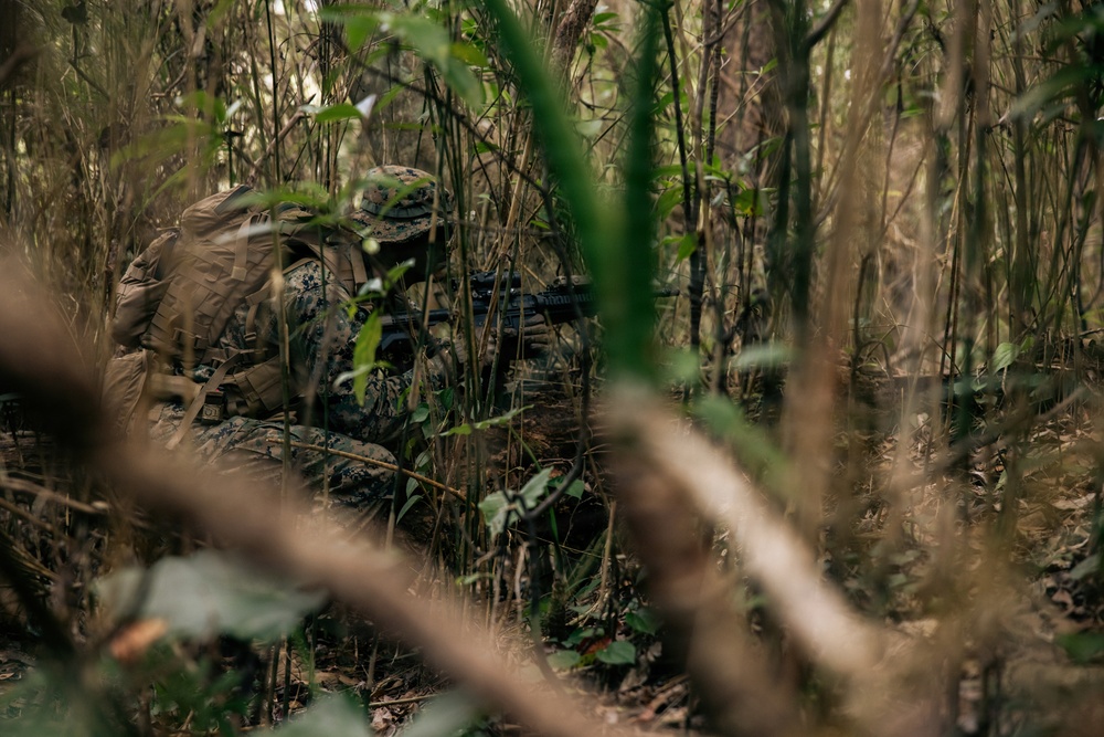7th Communication Battalion Marines sustain expeditionary communications in jungle environment