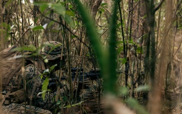 7th Communication Battalion Marines sustain expeditionary communications in jungle environment