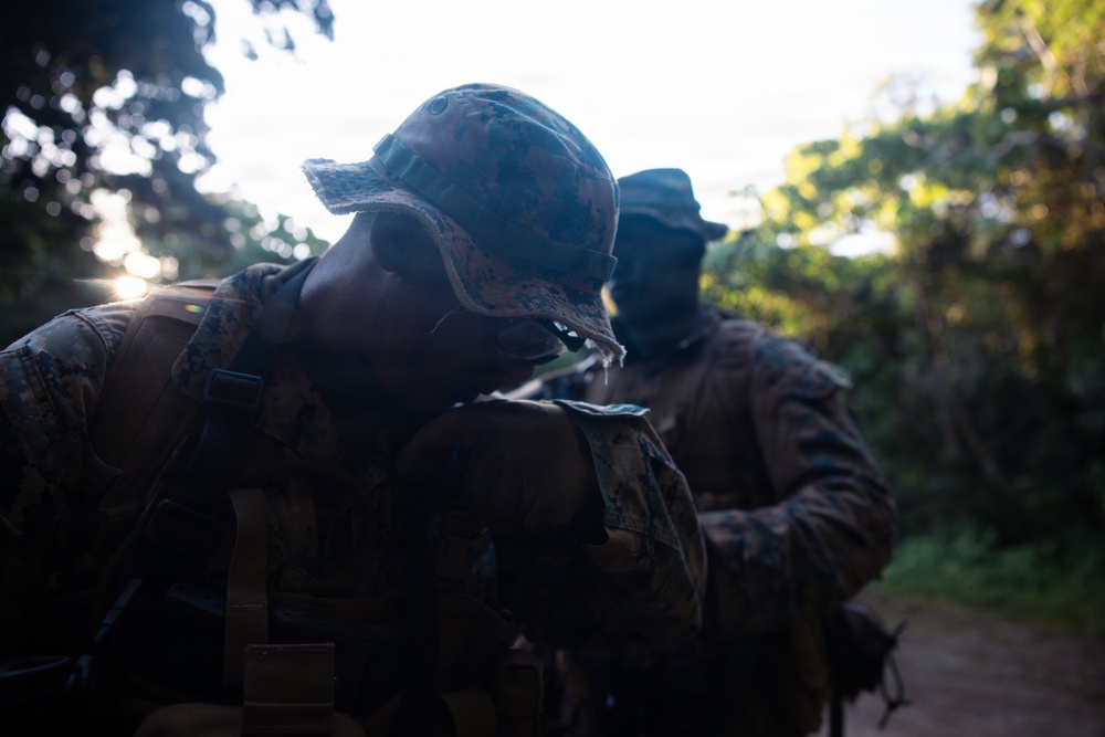 7th Communication Battalion Marines conduct jungle patrol training