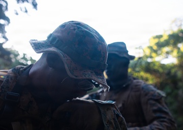 7th Communication Battalion Marines conduct jungle patrol training