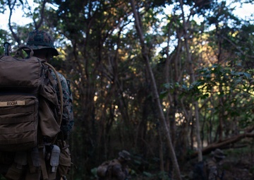 7th Communication Battalion Marines conduct jungle patrol training