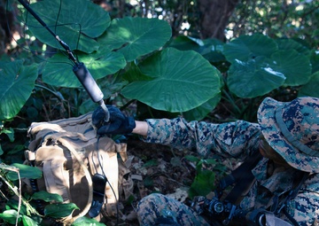 7th Communication Battalion Marines conduct jungle patrol training