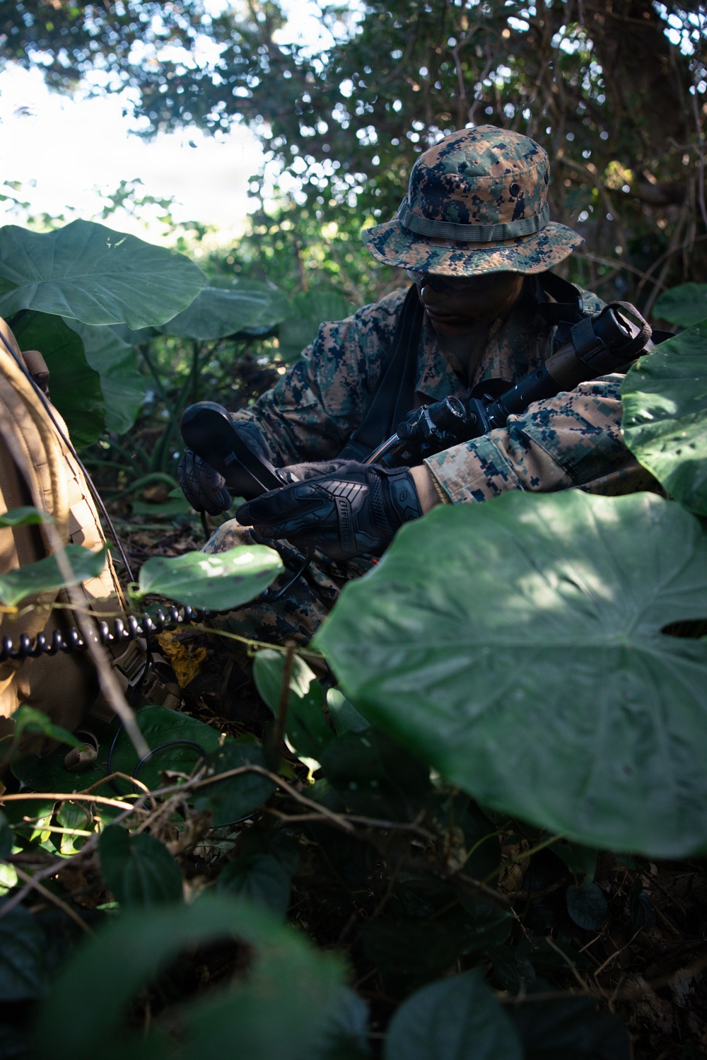 7th Communication Battalion Marines conduct jungle patrol training