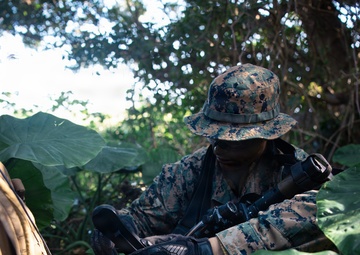 7th Communication Battalion Marines conduct jungle patrol training