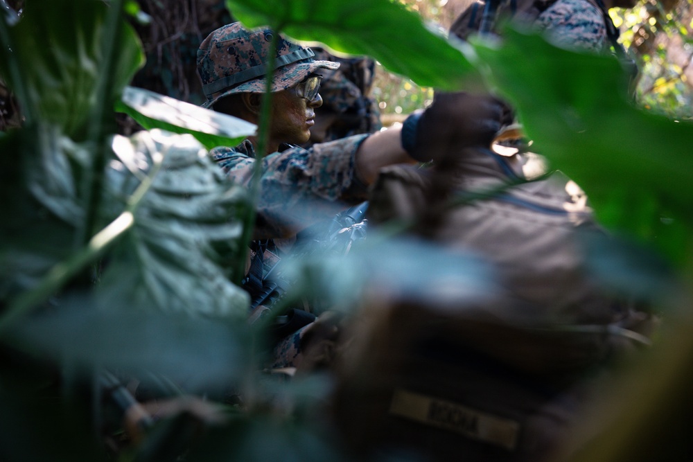 7th Communication Battalion Marines conduct jungle patrol training