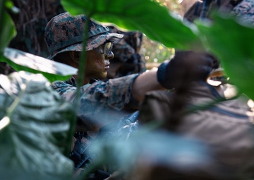 7th Communication Battalion Marines conduct jungle patrol training