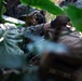 7th Communication Battalion Marines conduct jungle patrol training
