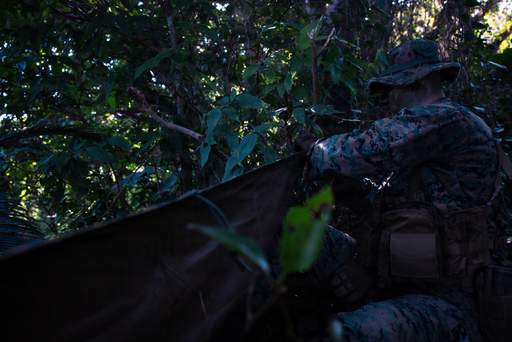 7th Communication Battalion Marines conduct jungle patrol training