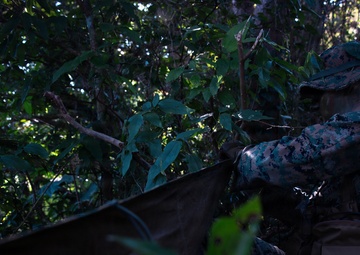 7th Communication Battalion Marines conduct jungle patrol training