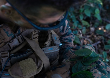 7th Communication Battalion Marines conduct jungle patrol training