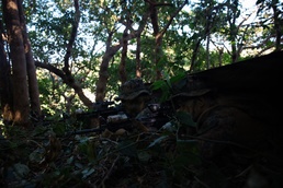 7th Communication Battalion Marines conduct jungle patrol training