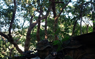 7th Communication Battalion Marines conduct jungle patrol training