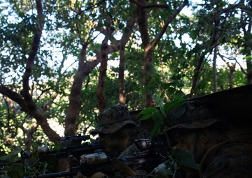 7th Communication Battalion Marines conduct jungle patrol training