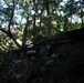 7th Communication Battalion Marines conduct jungle patrol training