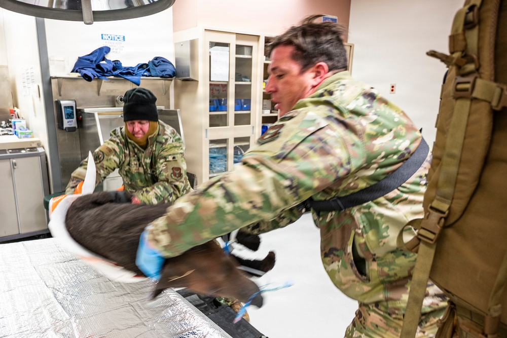 Joint Force medical experimentation team performs mass casualty drill USCG Air Station Kodiak during ARCTIC EDGE 2026