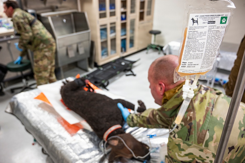 Joint Force Tackles Mass Casualty Scenarios During AE26