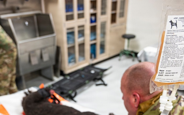 Joint Force Tackles Mass Casualty Scenarios During AE26